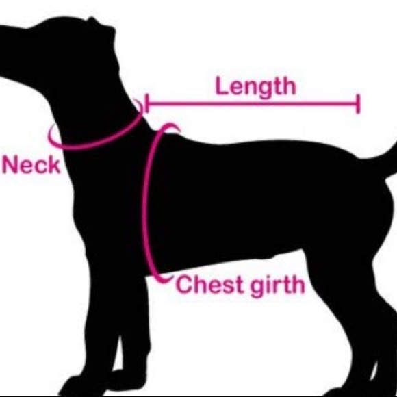 New listing : Miami heat pet jersey - Picture 7 of 7